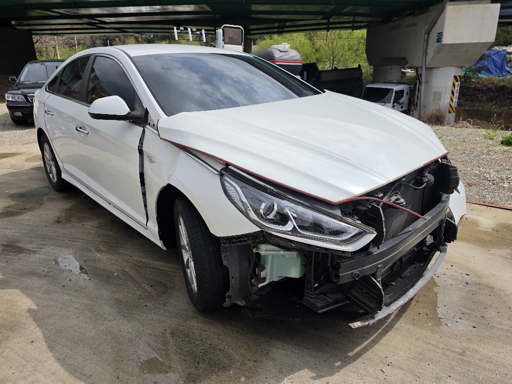 2019 Sonata New Rise LPI (510417) pre-producted