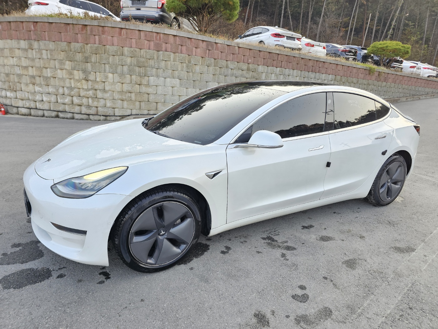 [SOLDOUT]2020 Tesla Model 3 Standard Range Plus (S/N: 750118)