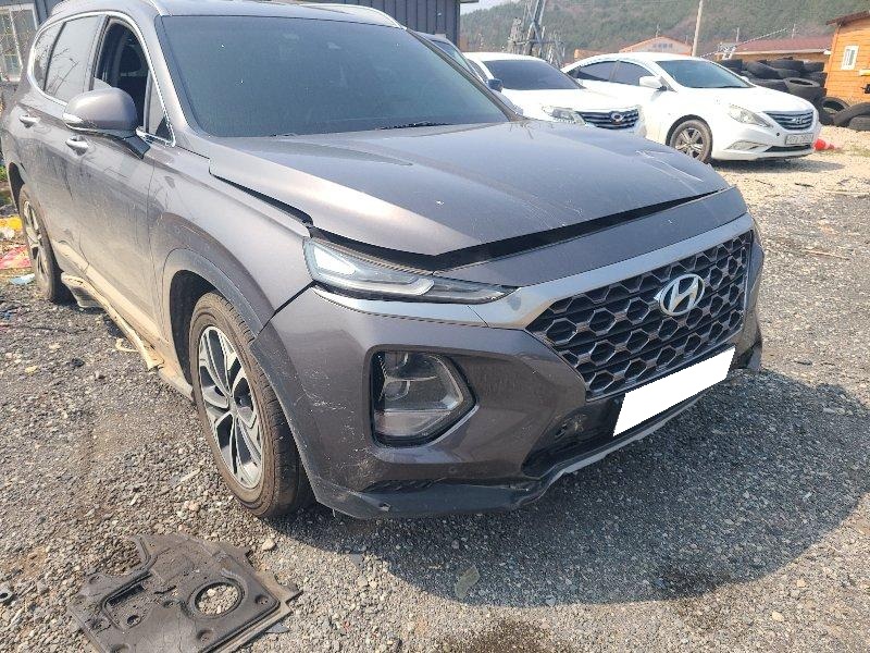 2019 Santa Fe TM Diesel 2.0 2WD (069295) pre-producted