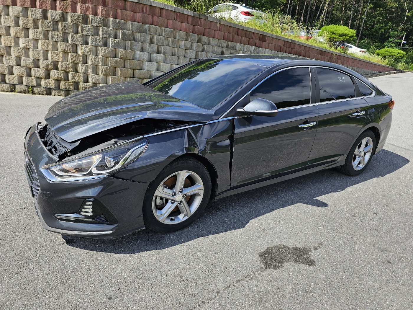 [SOLDOUT]2018 Sonata New Rise 2.0 Modern (S/N: 366849)