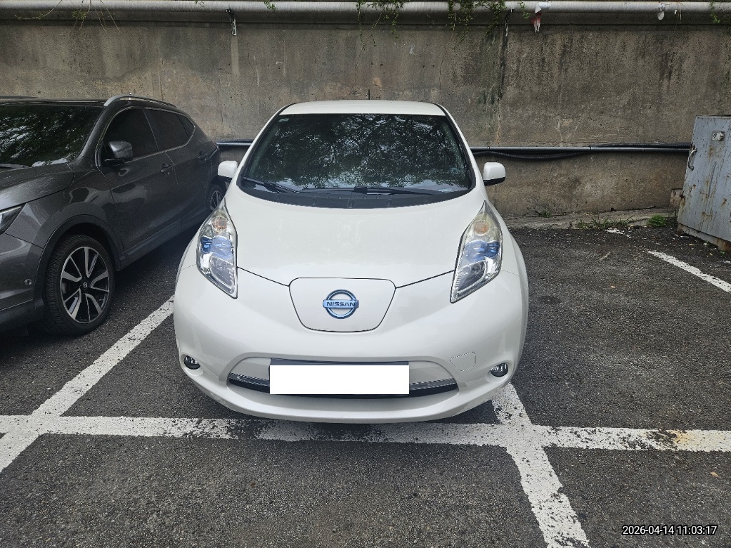 2016 Nissan Leaf (312730) pre-producted