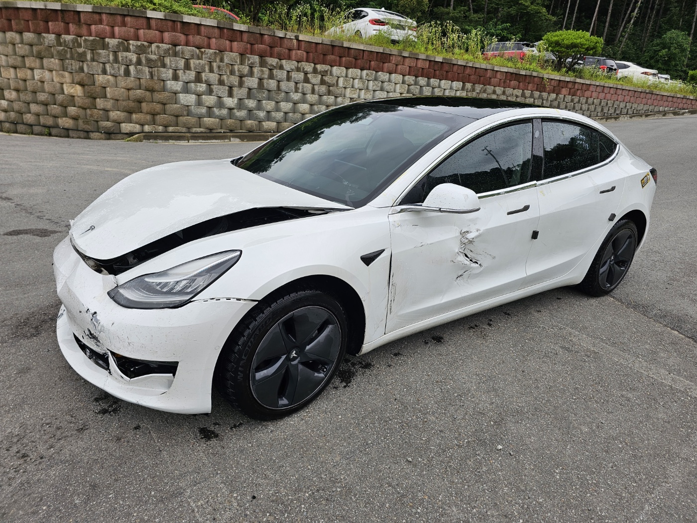 2020 Tesla Model 3 Long Range (S/N: 733521)