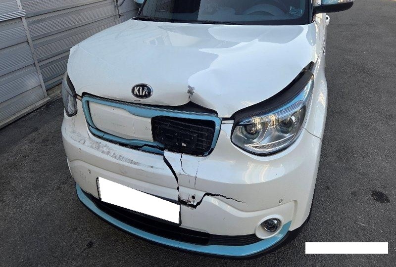 [Reserved]2016 Soul EV (008968) pre-producted