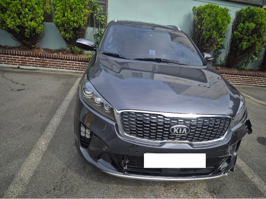 [Auction] 2019 The New Sorento Diesel 2.2(490607) pre-producted