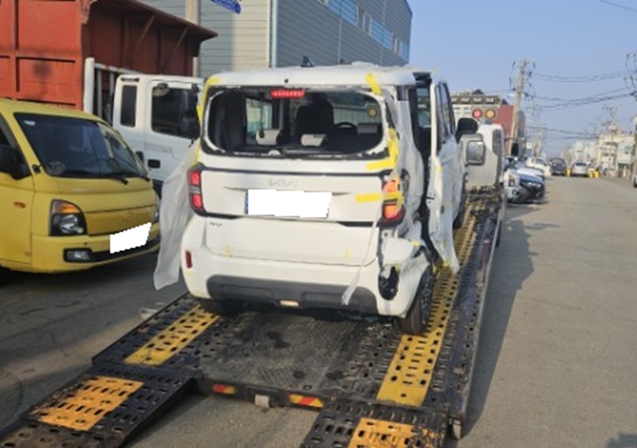 2023 The New Ray Signature (373876) pre-producted