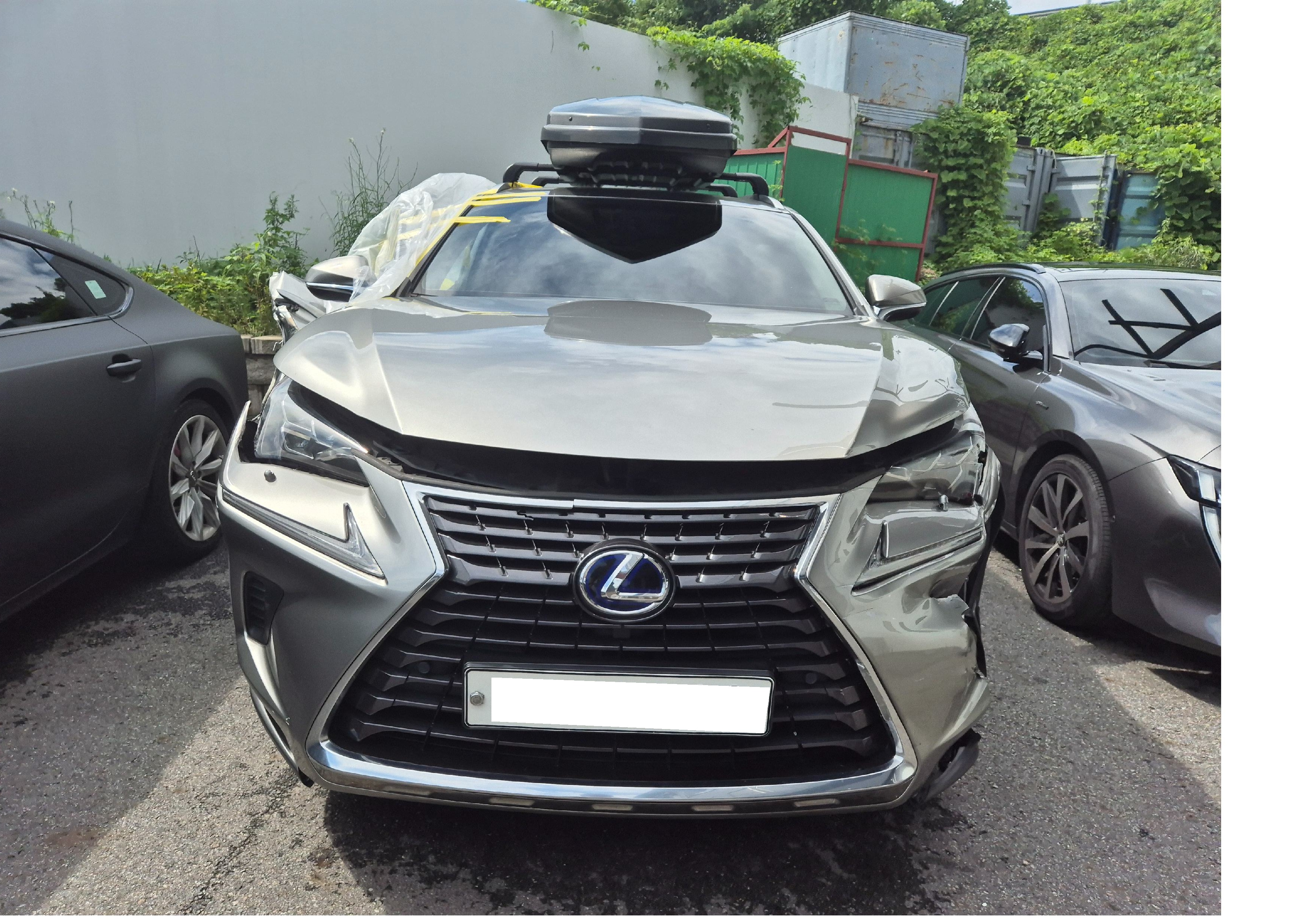 2018 Lexus NX 300h Supreme (090663) pre-producted
