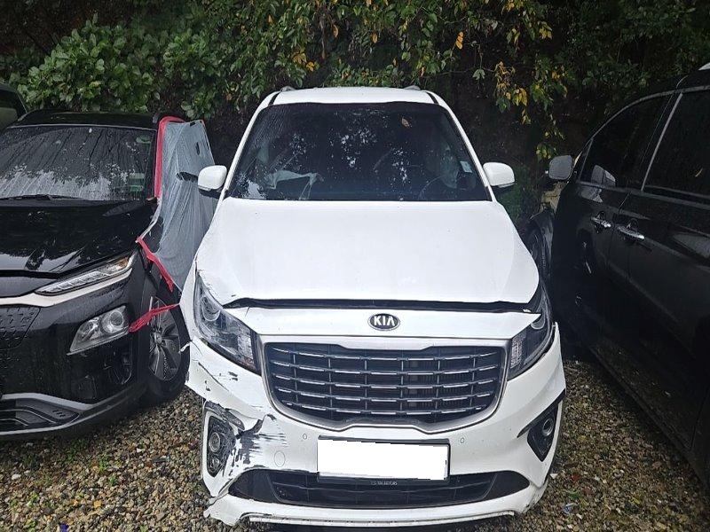 2019 The New Carnival Diesel Prestige (457073) pre-producted