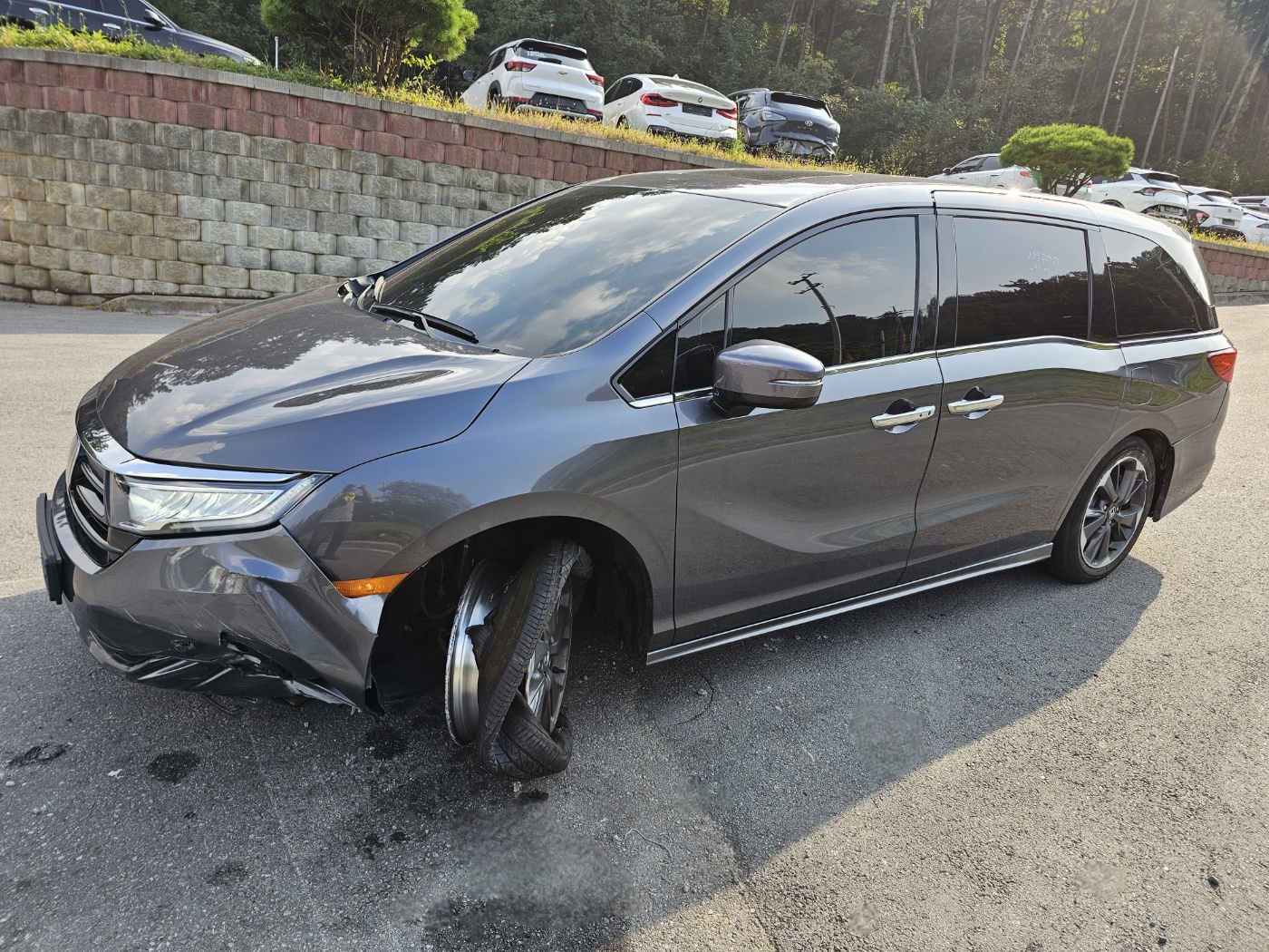 2023 Honda Odyssey (5th gen) 3.5 Elite (S/N: 600492)