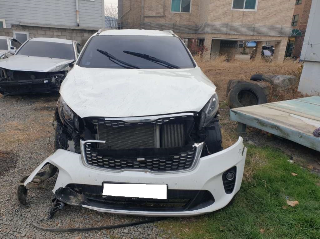 2018 The New Sorento Diesel 2.2 4WD Noblesse (433616) pre-producted