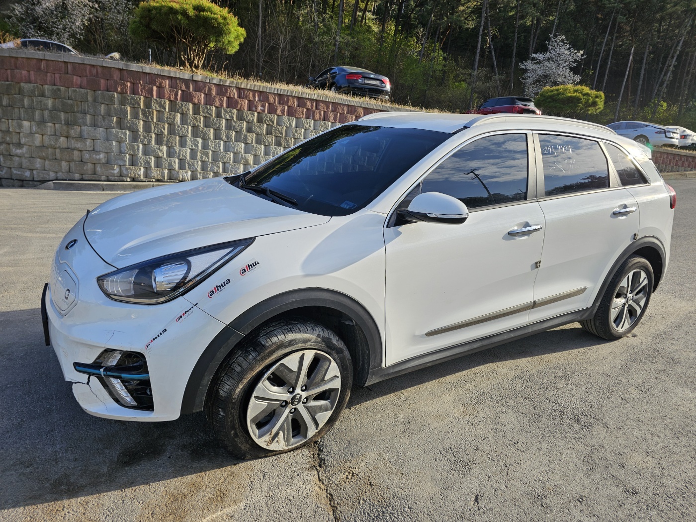 2019 NIRO EV (S/N: 016370)