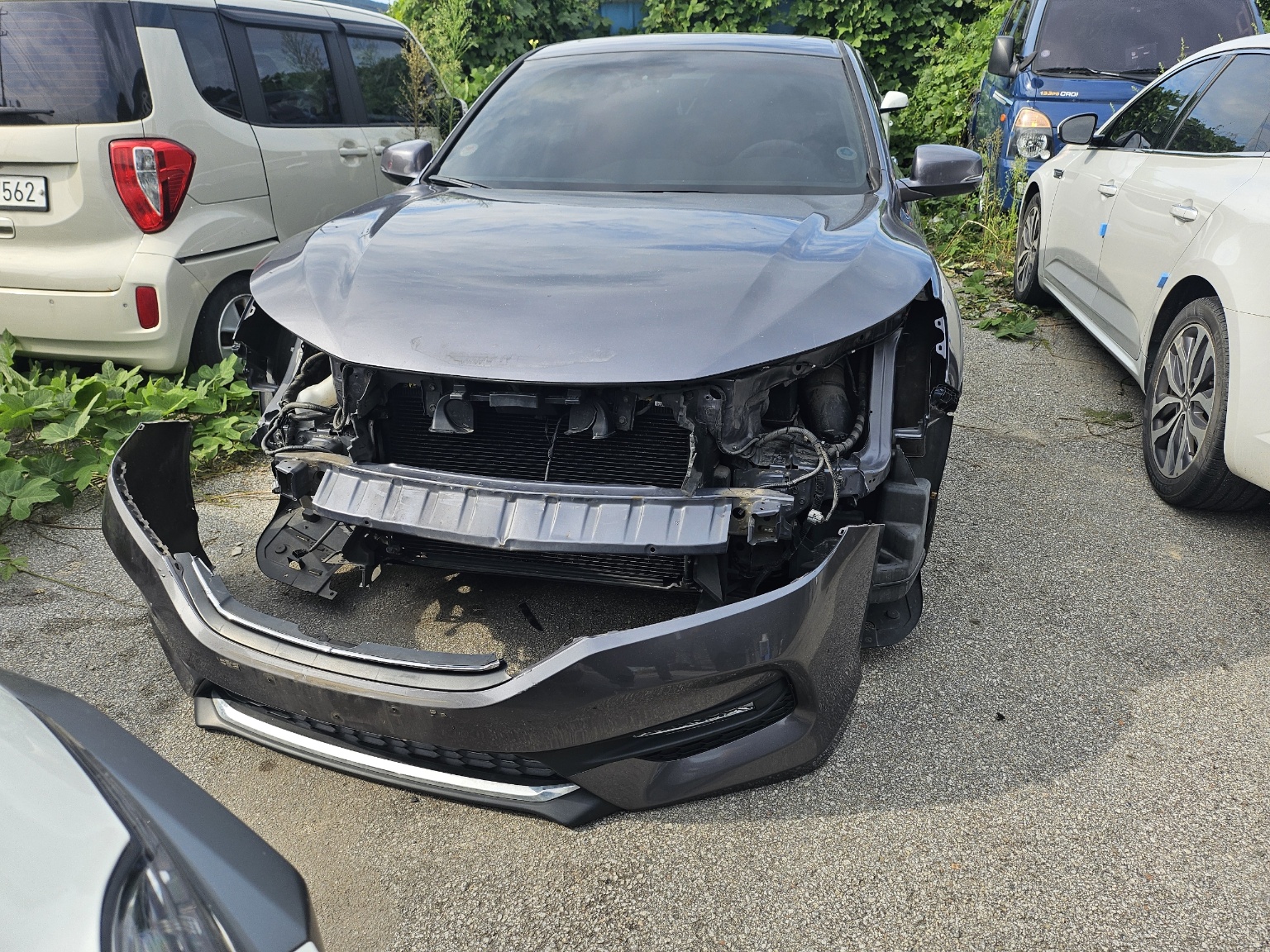 [Reserved]2017 Honda All New Accord 2.4 (514833) pre-producted