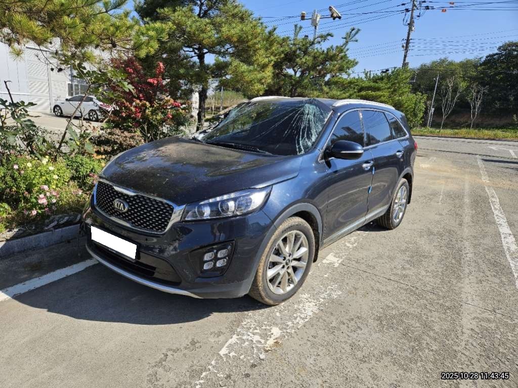 2017 All-new Sorento Diesel 4WD 2.0 Noblesse (315137) pre-producted