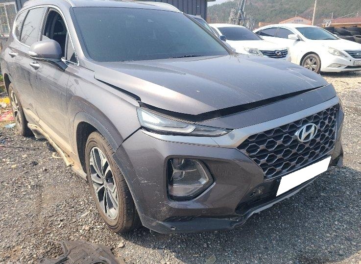 2019 Santa Fe TM Diesel 2.0 2WD (069295) pre-producted