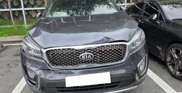 2015 All-new Sorento Diesel 2WD 2.0 Noblesse (064916) pre-producted