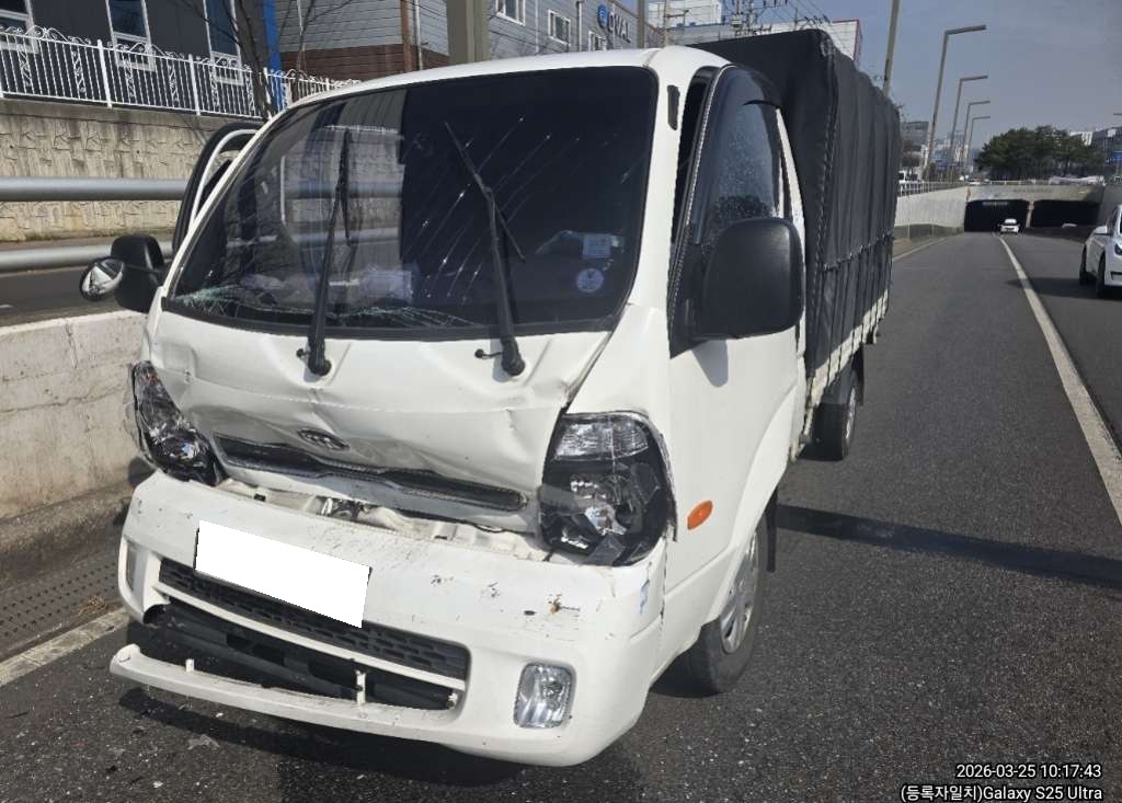 2019 Bongo 3 1.0-ton King Cab (CRDi)(2WD) (372565) pre-producted