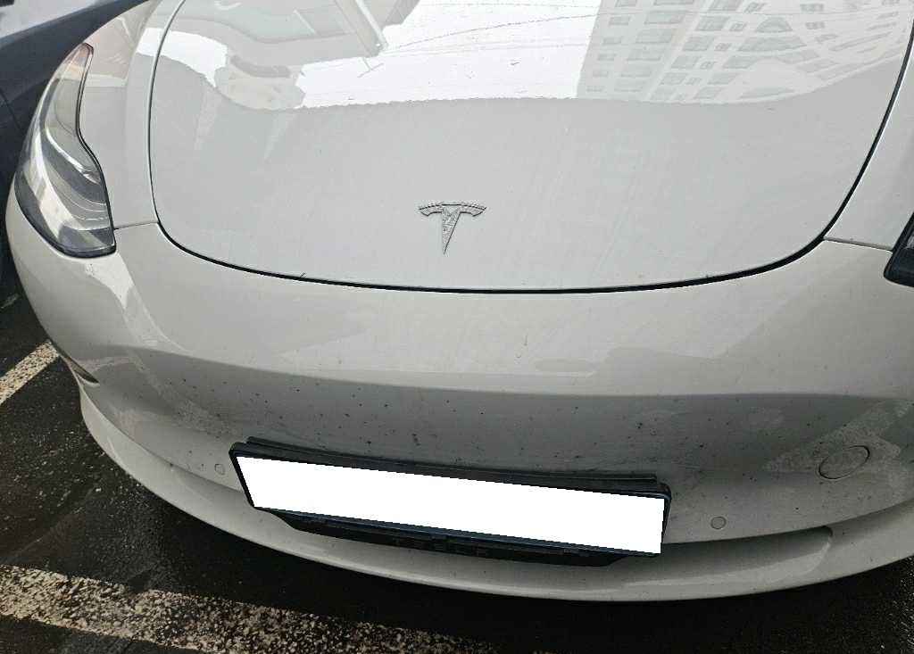 2020 Model 3 Long Range (649261) pre-producted