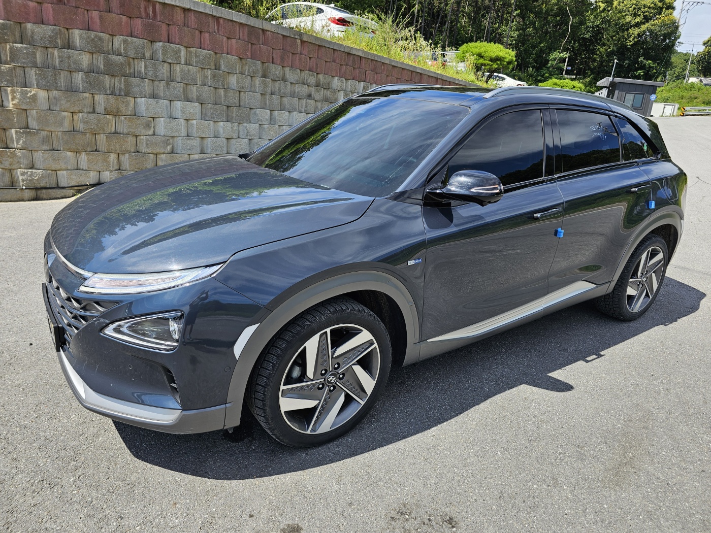 [Reserved]2019 Nexo premium (S/N: 002495)