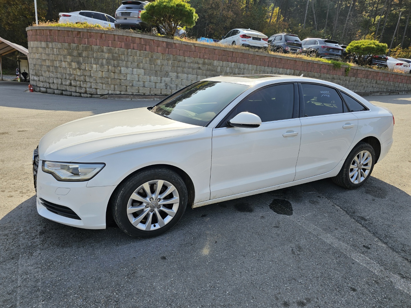 2013 Audi New A6 2.0 TDI Dynamic (S/N: 031004)